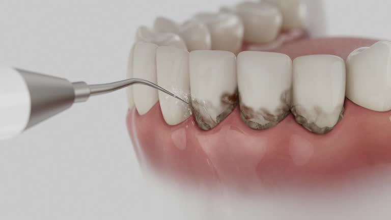Reliable Dental contractor in Bessemer, MI by Dentist Open Now